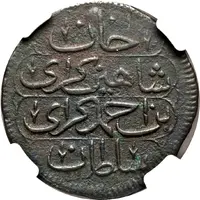 Kopek - Shahin Giray