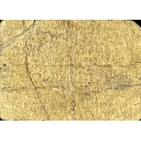 25 Céntimos Noalejo