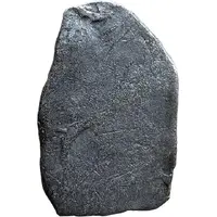 1/2 Vimshatika - Kosala Janapada