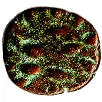 Drachm - Kamnaskires / Orodes - Kingdom of Elymais Arsacid Dynasty