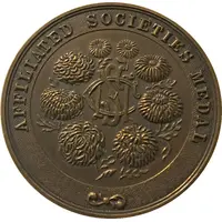 Award - National Chrysanthemum Society Affiliated Societies Medal; bronze