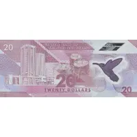20 Dollars Polymer