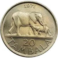 20 Tambala