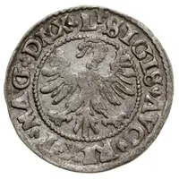 1/2 Groat półgrosz - Sigismund II August (1st eagle)