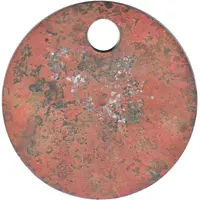 Token - Brisbane City Council Tool Check