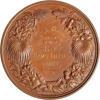 Award - Victoria National Agricultural & Industrial Association of Queensland, bronze