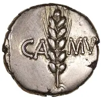 Gold Stater - Cunobelin Cunobelinus Wild Heart