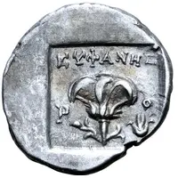 Drachm - Euphanes