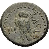 Æ19 - Tiberius ΕΤΟΥΣ Ξ, Amisus