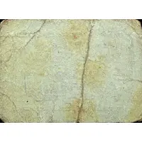 5 Céntimos Candasnos