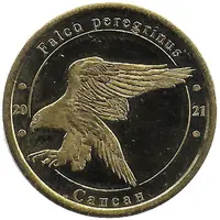 1 Zlotnik Peregrine Falcon