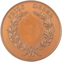 Award University of Sydney Prize Medal, 41mm