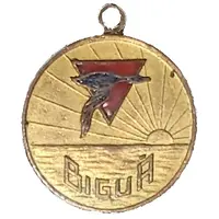 Medal - Biguá de Villa Biarritz