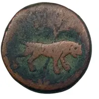 Falus - Anonymous Ganja