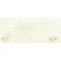 4 Dollars / 1 Pound Bank of British North America, Brantford