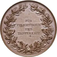 Award Medal for Dutyfulness and Bravery Bronze