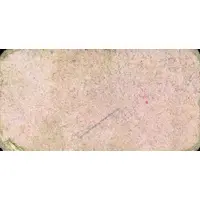 50 Céntimos Menjíbar