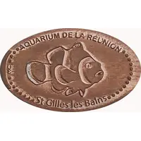 Aquarium de la Réunion - Saint-Gilles les Bains Poisson clown