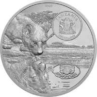 1500 Shillings Lions Growing Up