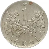 1 Sokol