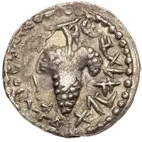 Zuz - Eleazar the priest Year One