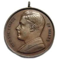 Medal - Edward Prince of Wales South Africa 1925