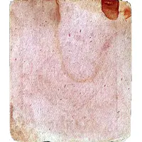 2 Annas WW II Cash Coupon