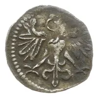 Denier wschowski - Sigismund II Augustus Wschowa mint
