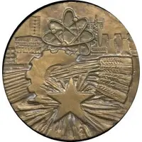 Medal - For merits in the development of socialism