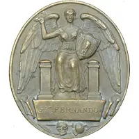 Award - Volunteer Service Medal