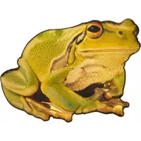 100 Francs Tree frog
