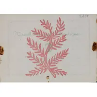 2 Pesetas Argelaguer