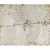 10 Pessetes Provisional Issue