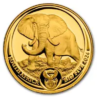 50 Rand Big Five Series II - African Elephant, 1/4 Oz