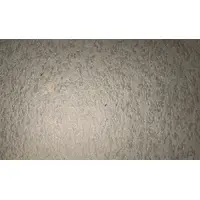 10 Pfennigs Wiggensbach; Anton Prestel Burgbräu