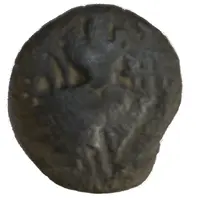 Æ Stater - Sugandha Rani