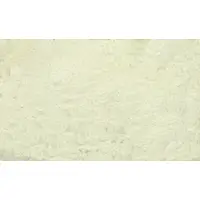 10 Céntimos Colomera