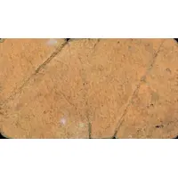 50 Céntimos Villacarrillo