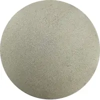 Medal - ADNOC Future Leaders 2019