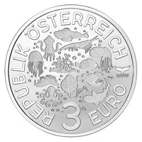 3 Euros Firefly squid