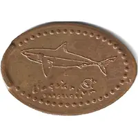Elongated coin - Aquarium of Barcelona White shark