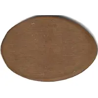 Elongated coin - Aquarium of Barcelona White shark