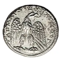 Tetradrachm - Caracalla Antioch