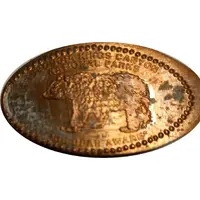 Sequoia Kings Canyon - Bear