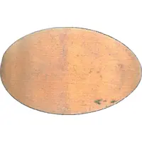 Elongated coin The Rock and two dolphins