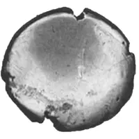 Stater - Regni Selsey Stockholm