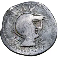 Denarius Hungarian Group