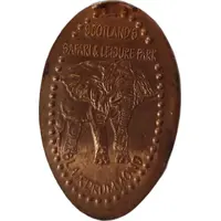 Scotland's Blair Drummond - Pressed Penny