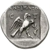 Hemidrachm - Antipatros