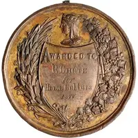 Award - Victoria National Agricultural & Industrial Association of Queensland, bronze